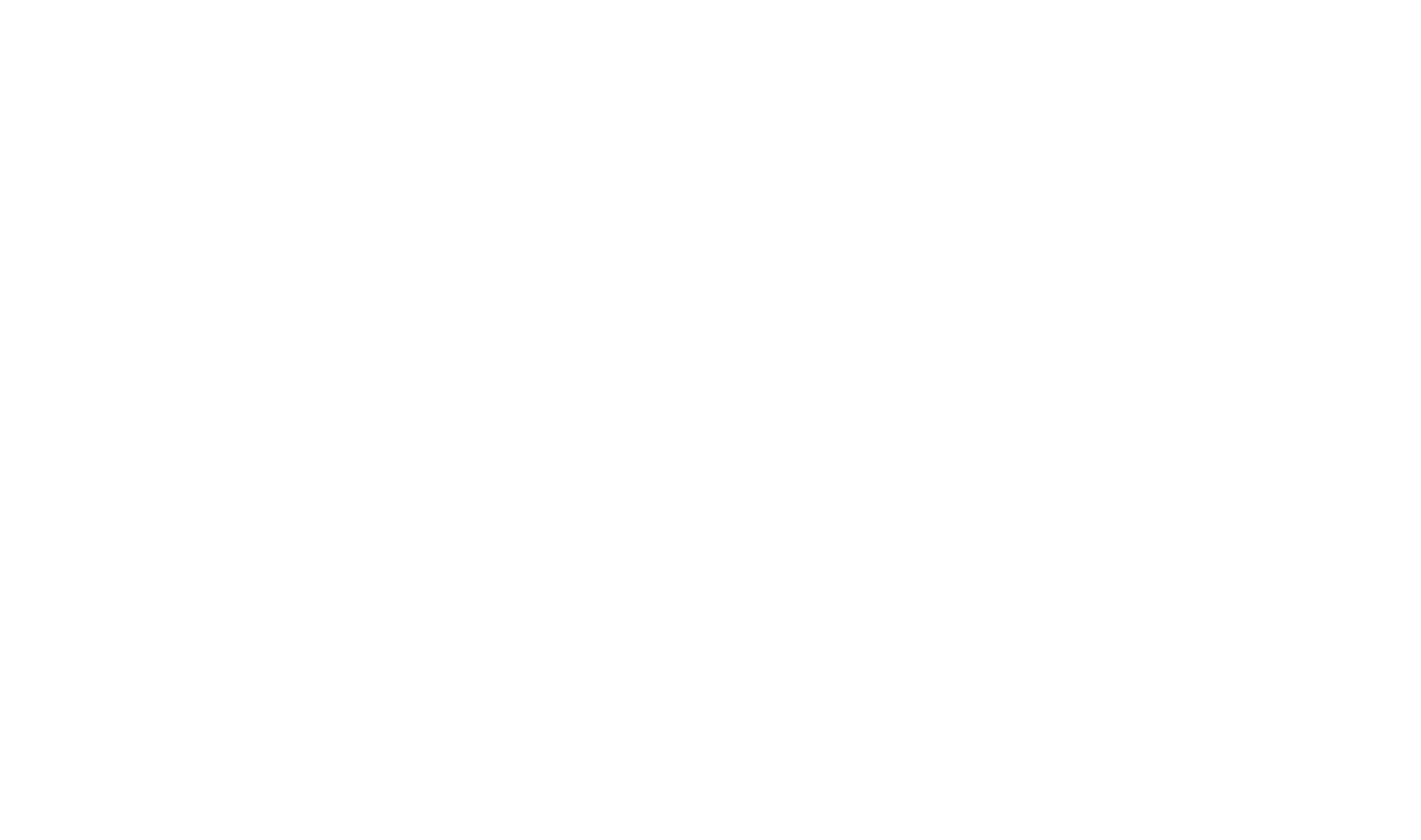 The Success Mindset Logo